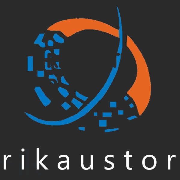 Rikaustor Website templatemo